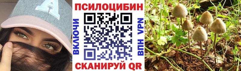это наркотические препараты  Гаджиево  Псилоцибиновые грибы ЛСД 